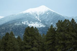 A snowy mountain and trees