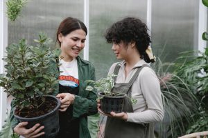 Woman consulting a landscaping expert before buying plants