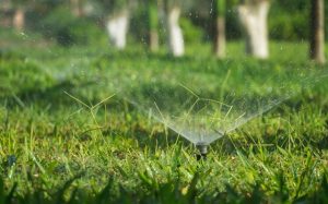 A sprinkler watering a yard.