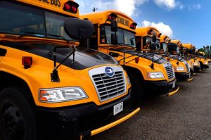 A fleet of school buses.