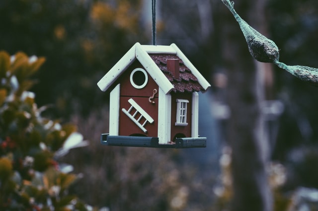 A birdhouse representing understanding the importance of location when buying a home is essential.